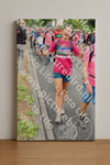 Evenement foto: Nijmeegse Vierdaagse 678