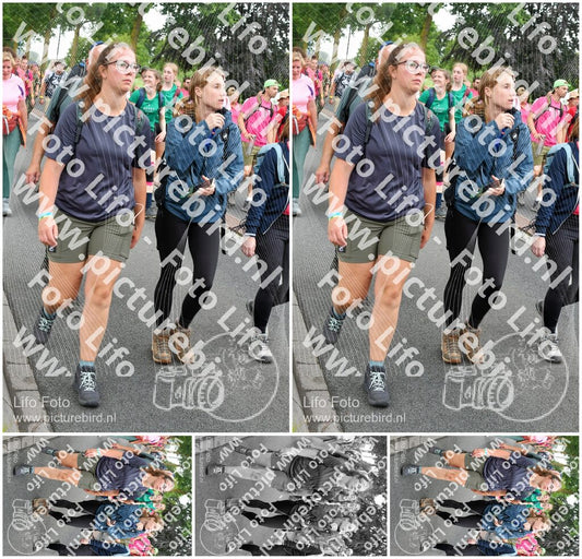 Evenement foto: Nijmeegse Vierdaagse 678