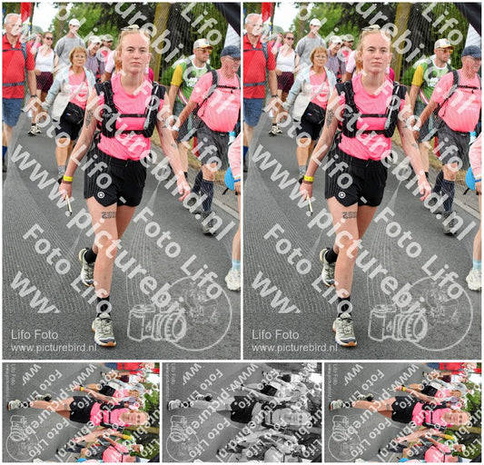 Evenement foto: Nijmeegse Vierdaagse 677