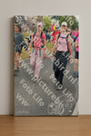 Evenement foto: Nijmeegse Vierdaagse 677