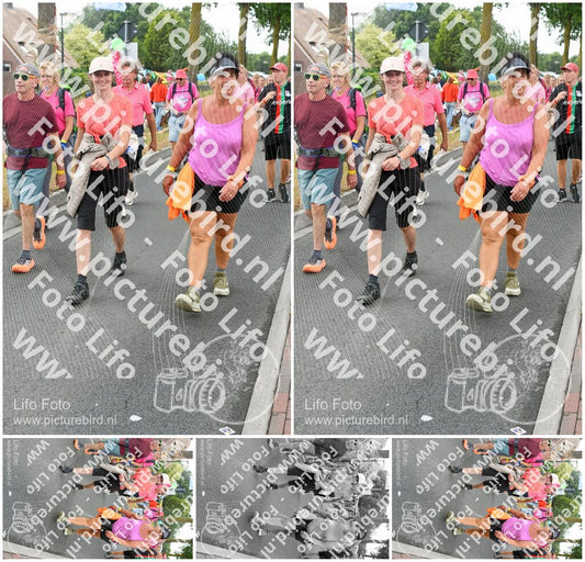 Evenement foto: Nijmeegse Vierdaagse 677