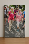 Evenement foto: Nijmeegse Vierdaagse 677