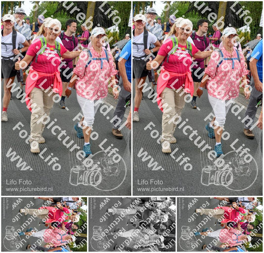 Evenement foto: Nijmeegse Vierdaagse 677