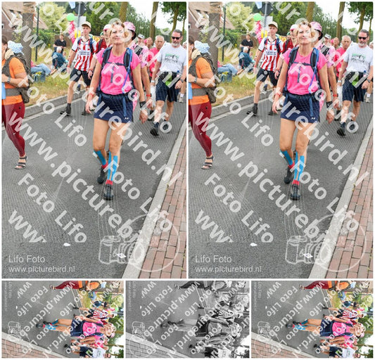 Evenement foto: Nijmeegse Vierdaagse 677