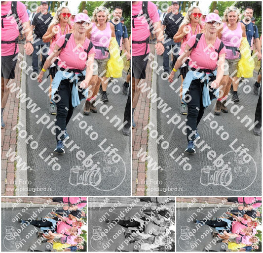 Evenement foto: Nijmeegse Vierdaagse 677