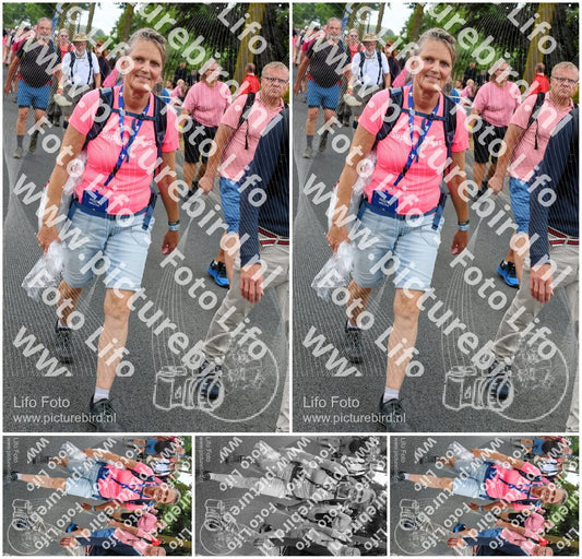 Evenement foto: Nijmeegse Vierdaagse 677