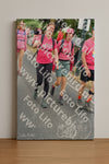 Evenement foto: Nijmeegse Vierdaagse 677