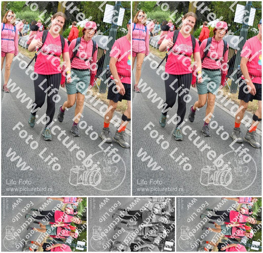 Evenement foto: Nijmeegse Vierdaagse 677