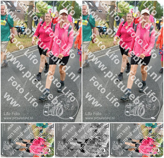 Evenement foto: Nijmeegse Vierdaagse 677