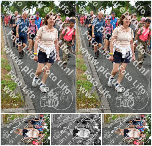 Evenement foto: Nijmeegse Vierdaagse 677