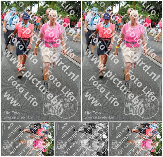 Evenement foto: Nijmeegse Vierdaagse 677