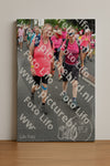 Evenement foto: Nijmeegse Vierdaagse 677
