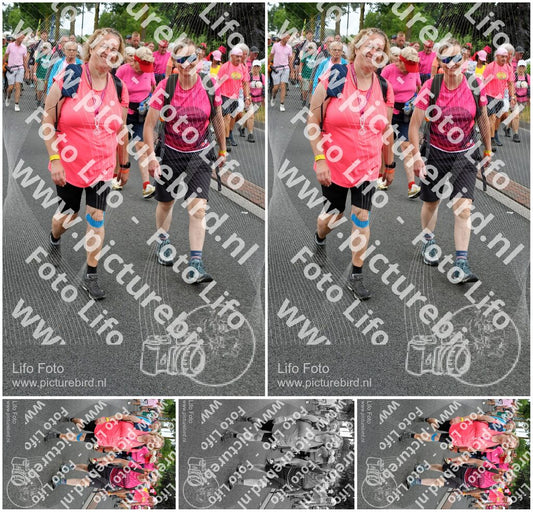 Evenement foto: Nijmeegse Vierdaagse 677