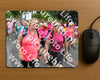 Evenement foto: Nijmeegse Vierdaagse 677
