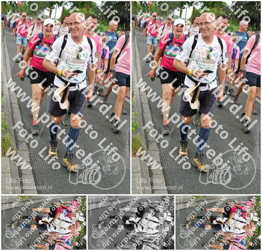 Evenement foto: Nijmeegse Vierdaagse 677