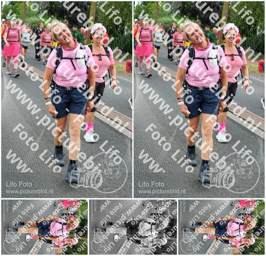 Evenement foto: Nijmeegse Vierdaagse 677
