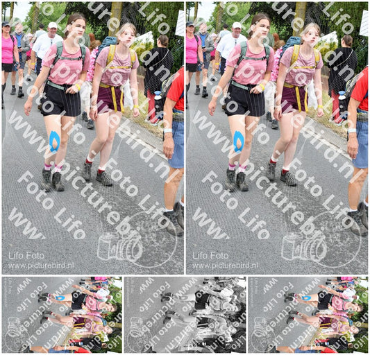 Evenement foto: Nijmeegse Vierdaagse 676