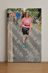 Evenement foto: Nijmeegse Vierdaagse 676