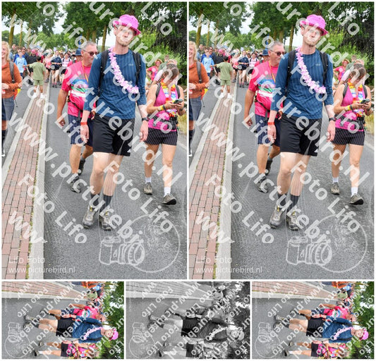 Evenement foto: Nijmeegse Vierdaagse 676