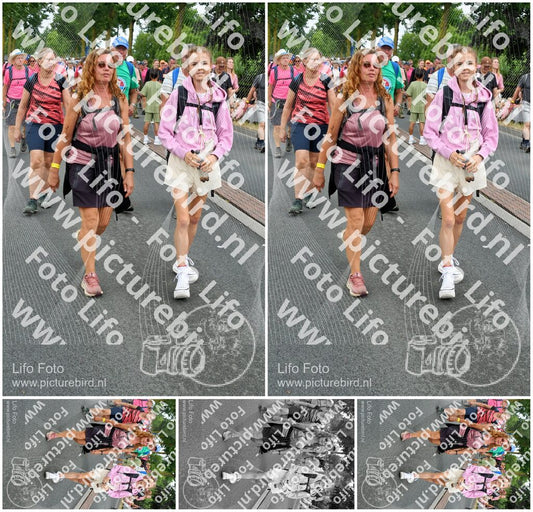 Evenement foto: Nijmeegse Vierdaagse 676