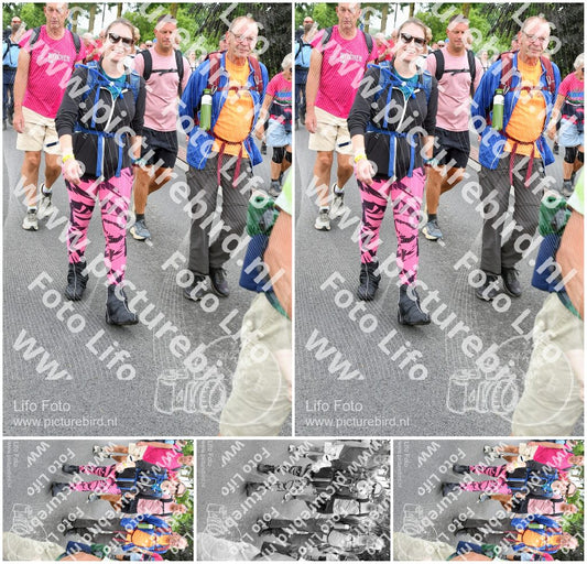 Evenement foto: Nijmeegse Vierdaagse 676