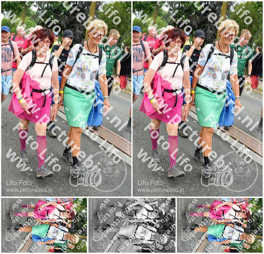 Evenement foto: Nijmeegse Vierdaagse 676