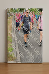 Evenement foto: Nijmeegse Vierdaagse 676