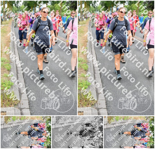 Evenement foto: Nijmeegse Vierdaagse 676