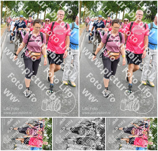Evenement foto: Nijmeegse Vierdaagse 676