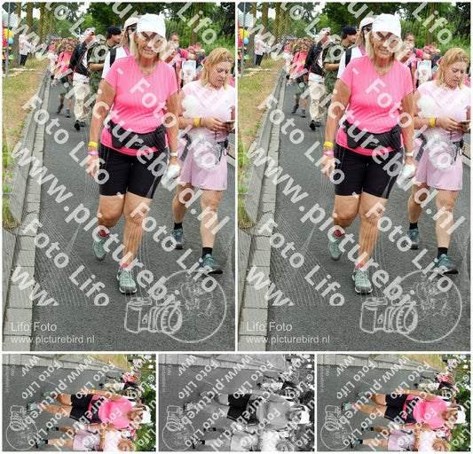 Evenement foto: Nijmeegse Vierdaagse 676