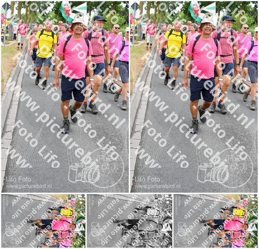 Evenement foto: Nijmeegse Vierdaagse 676