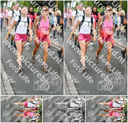 Evenement foto: Nijmeegse Vierdaagse 676