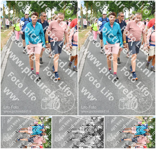 Evenement foto: Nijmeegse Vierdaagse 676