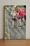 Evenement foto: Nijmeegse Vierdaagse 676