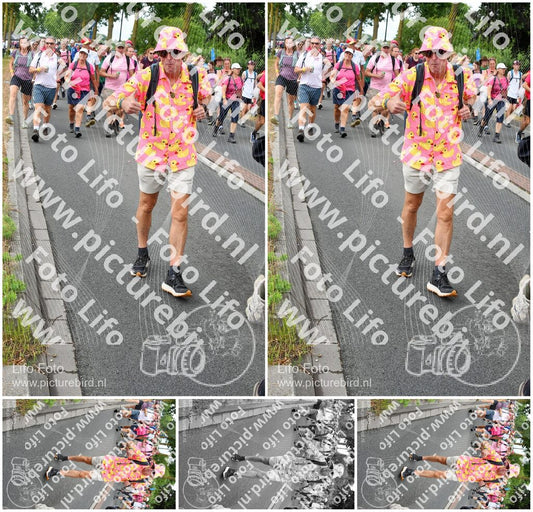Evenement foto: Nijmeegse Vierdaagse 676