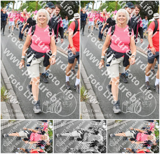 Evenement foto: Nijmeegse Vierdaagse 676