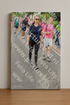 Evenement foto: Nijmeegse Vierdaagse 676