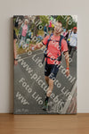 Evenement foto: Nijmeegse Vierdaagse 676