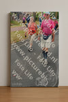 Evenement foto: Nijmeegse Vierdaagse 676