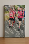 Evenement foto: Nijmeegse Vierdaagse 676