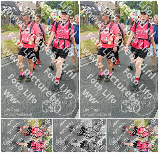 Evenement foto: Nijmeegse Vierdaagse 676