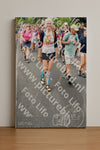 Evenement foto: Nijmeegse Vierdaagse 675