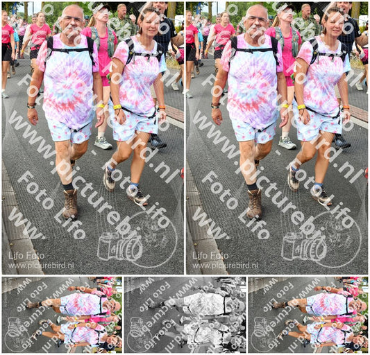 Evenement foto: Nijmeegse Vierdaagse 675