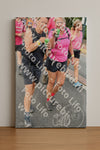 Evenement foto: Nijmeegse Vierdaagse 675