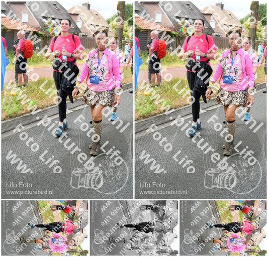 Evenement foto: Nijmeegse Vierdaagse 675