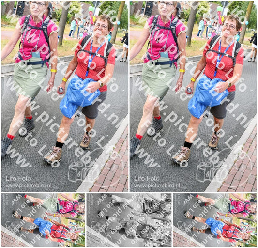 Evenement foto: Nijmeegse Vierdaagse 675