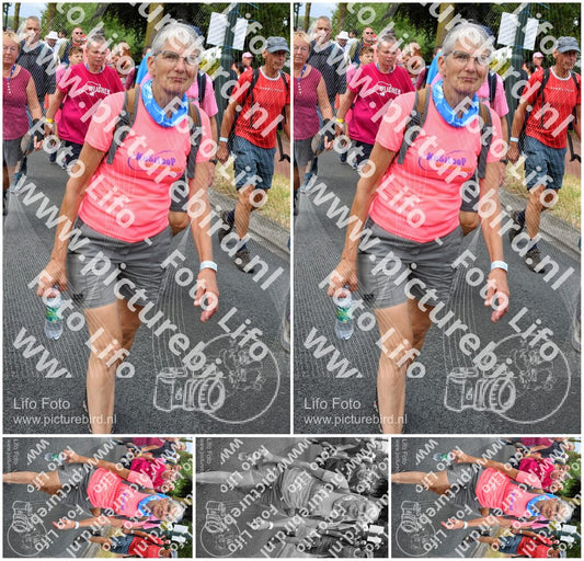 Evenement foto: Nijmeegse Vierdaagse 675