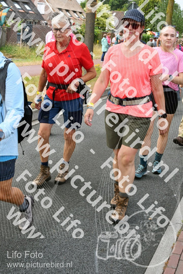 Evenement foto: Nijmeegse Vierdaagse 675