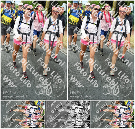 Evenement foto: Nijmeegse Vierdaagse 675
