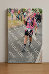 Evenement foto: Nijmeegse Vierdaagse 675